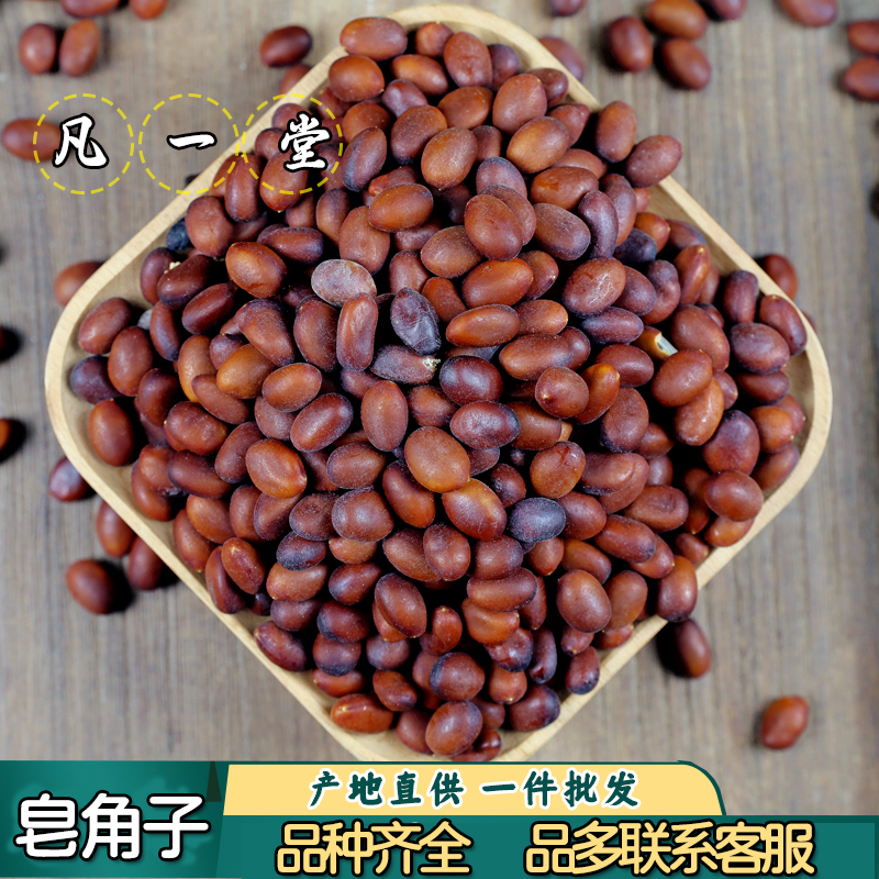 皂角子 皂角米 皂角的籽