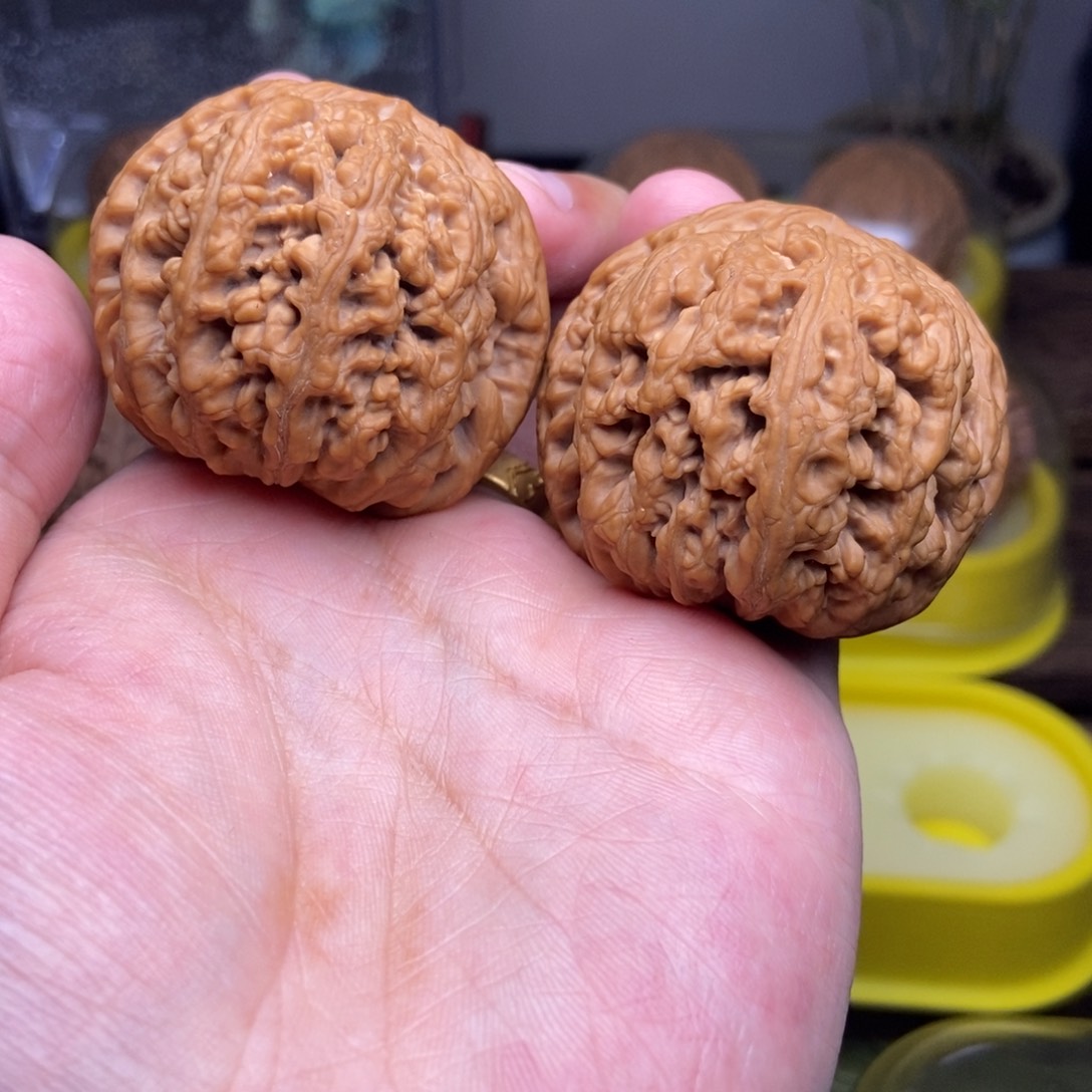 文玩核桃吊坠全品45尺大粗筋展台品