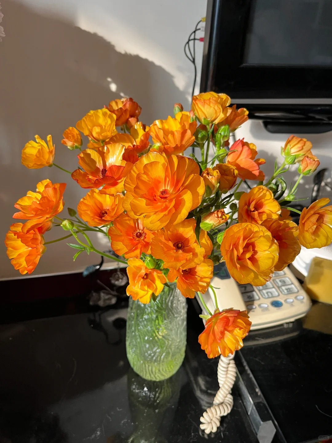 【花满堂】鲜花 橙色蝴蝶洋牡丹 任意两单包邮 发货后不支持退款