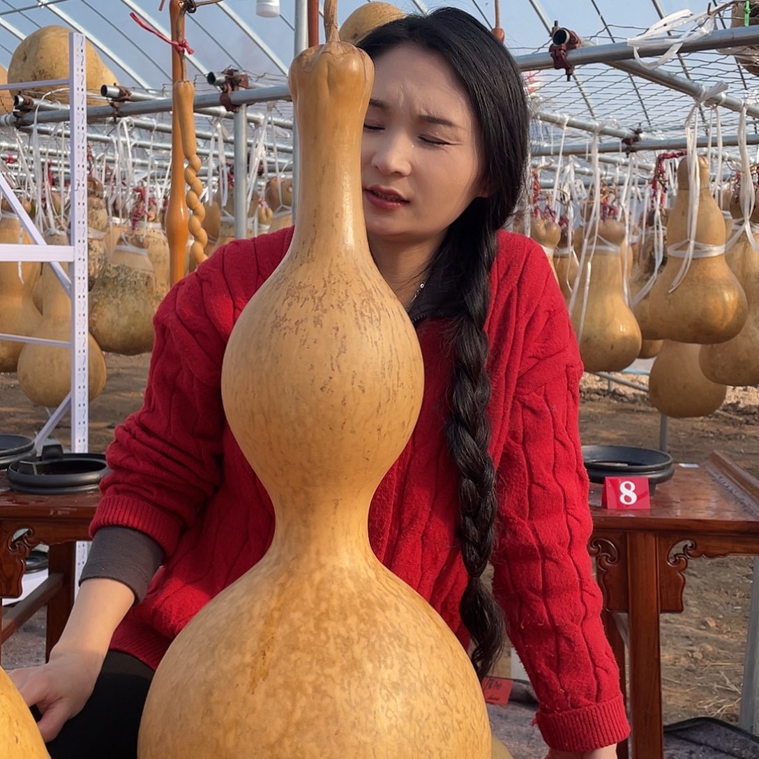 少***海木大葫芦不包邮大葫芦