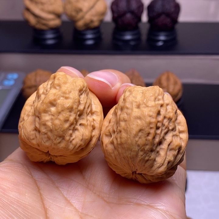 文玩核桃把件龙脊妖蟾58