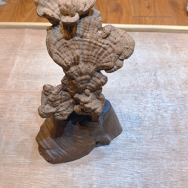 哈哈哈哈哈哈哈哈哈