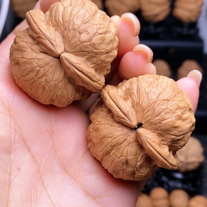 文玩核桃吊坠金龟玉甲