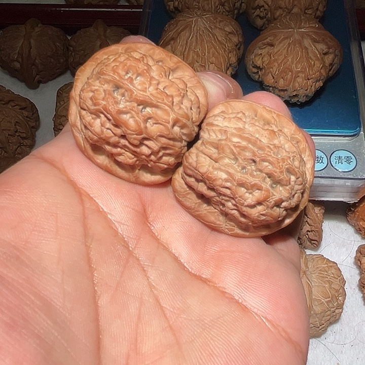 木39全品原桩血麒麟。   