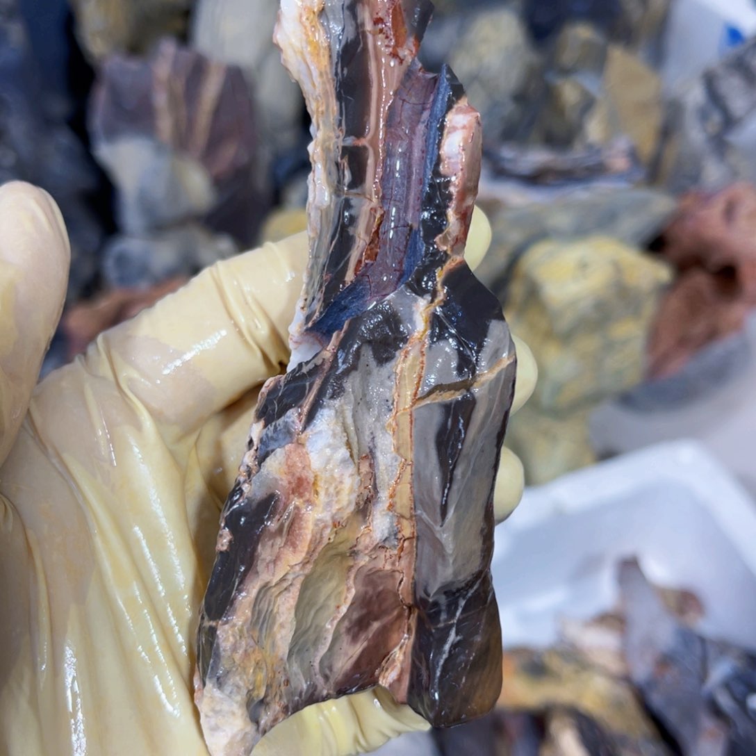 凌**家附石盆景一物一拍