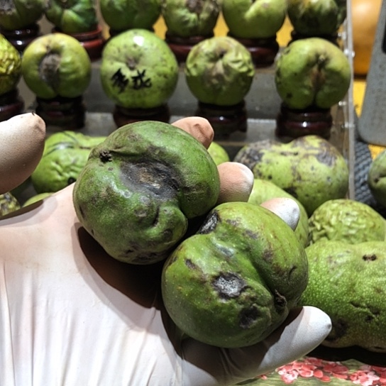 吊坠桃核核桃核桃