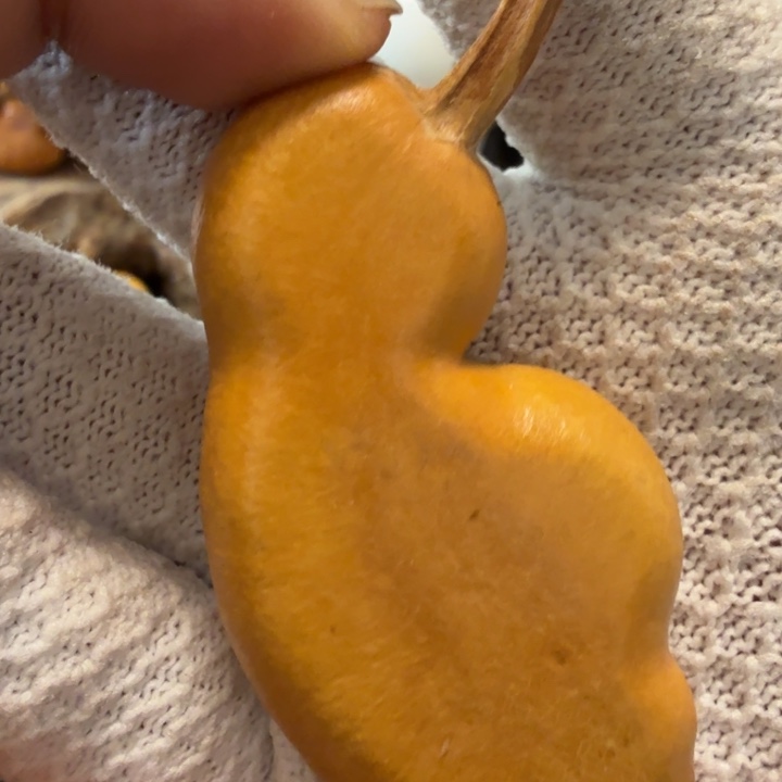 玉***乐66……………………………………