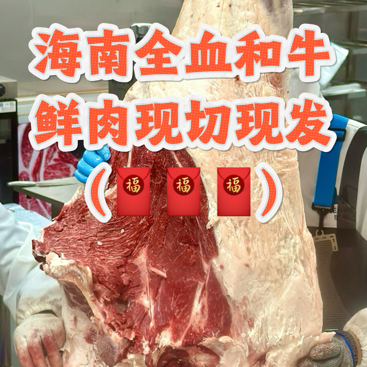 原切牛排鲜切【海垦和牛肉 鲜切现拍】谷饲900天全血黑毛和牛
