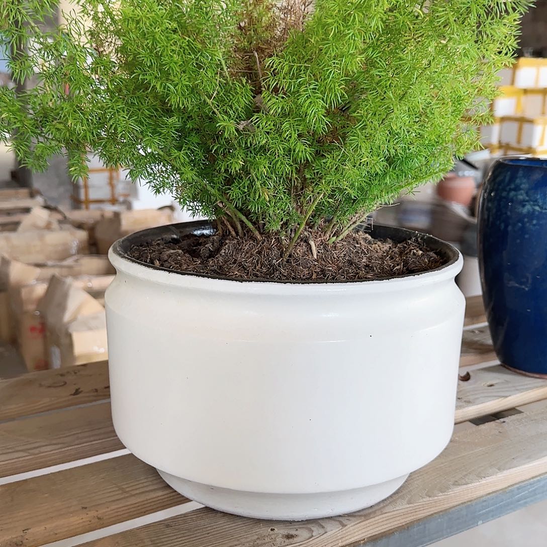 紫砂花盆杨杨花盆0827-526