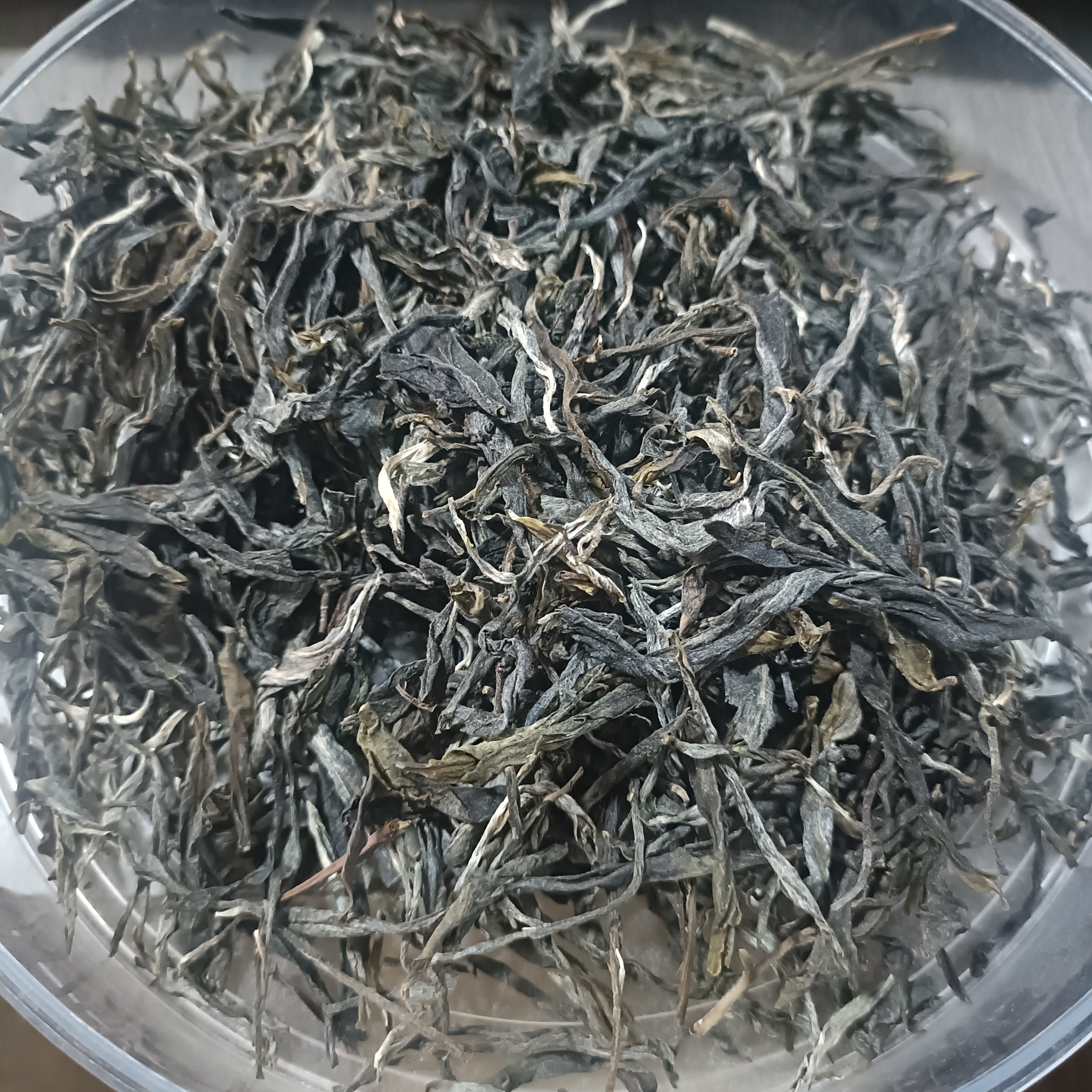 【华普堂】2025年云南大叶种曼岗(大曼岗)头春头采古树