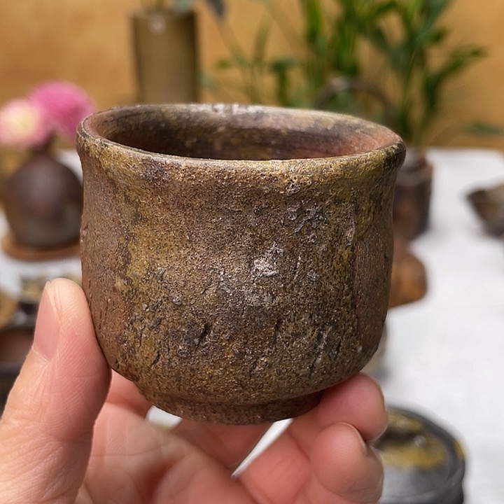 岩本修一的主人杯好