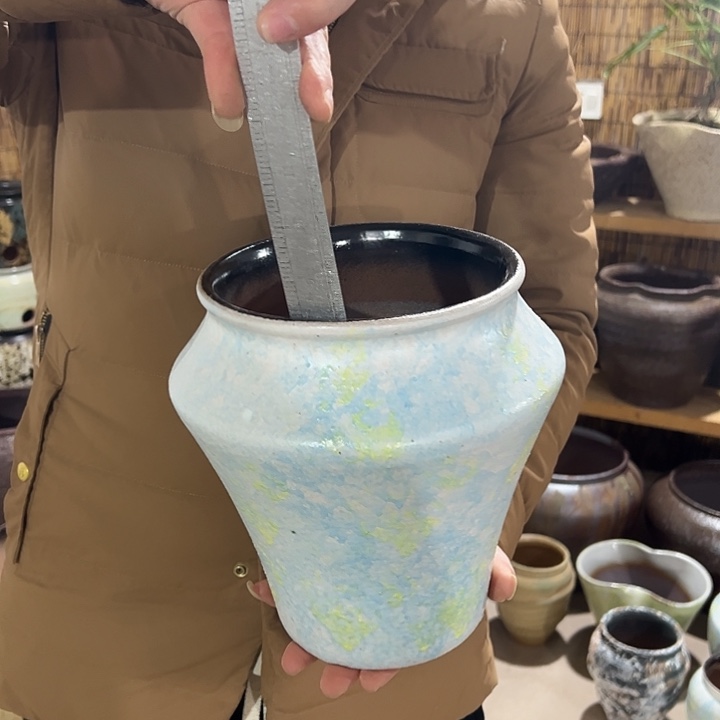 高21/17花盆发风风光光改革