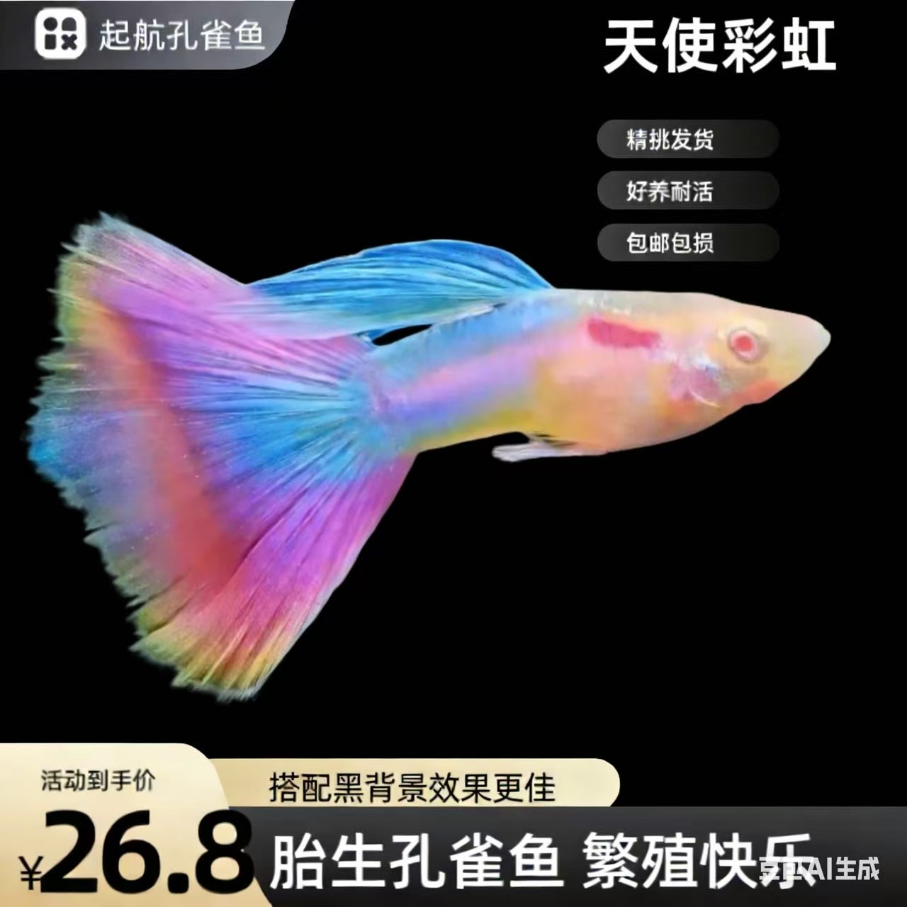 天使彩虹孔雀鱼热带小型观赏鱼