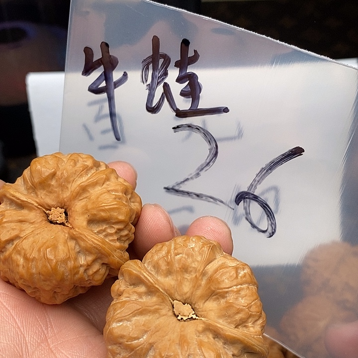 吊坠文玩核桃W:686:6486386386