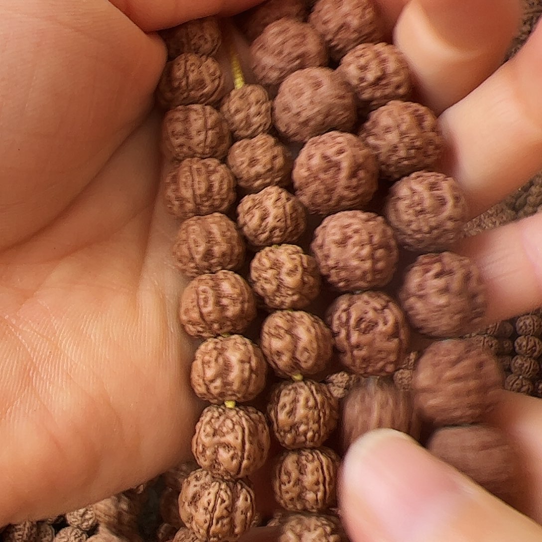 回***刻金刚菩提吊坠花王一条，爆肉龙一条，非精品手串，共228颗籽