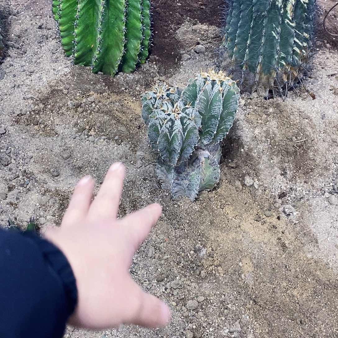 9*7000000000000000000