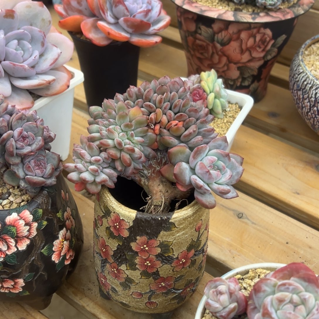 ****色星影缀化瑕疵处理福利