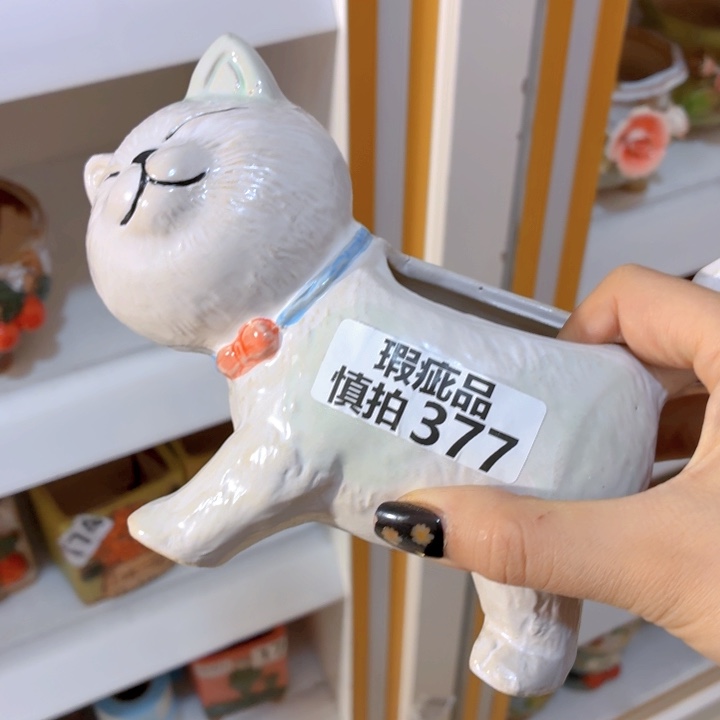 多肉花盆满15包邮