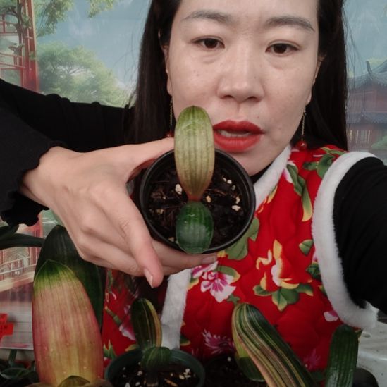 火***6完全开放福利价格福利价格福利价格