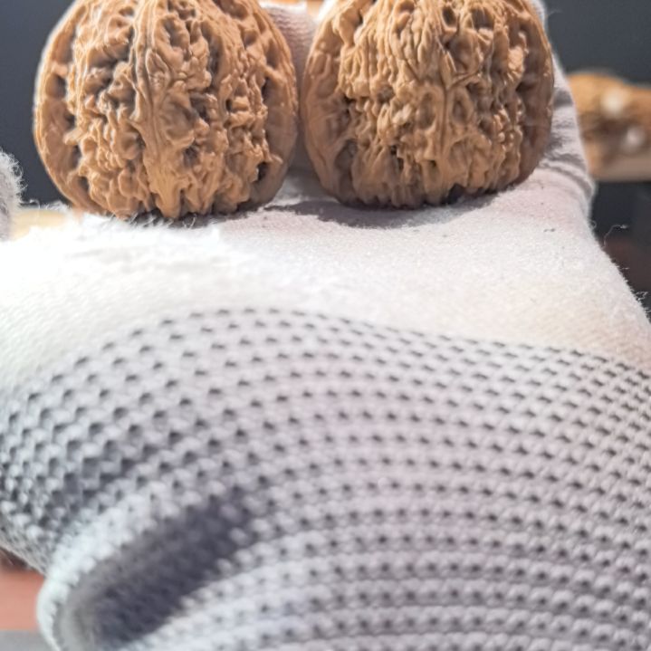 知***止涛子南将石直播拍