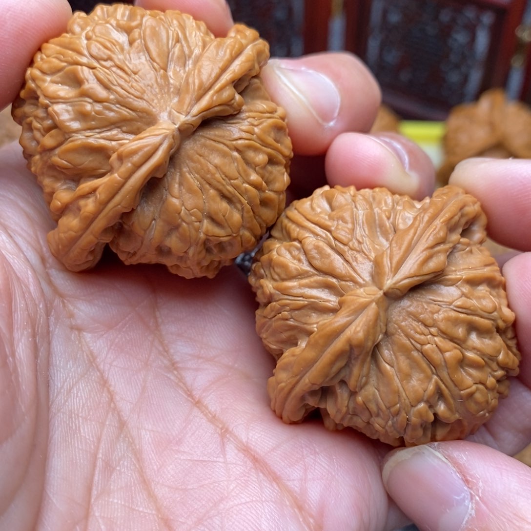 文玩核桃把件全品白狮子绝配42尺