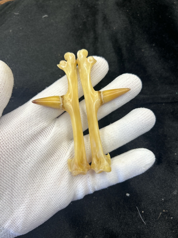 鸡爪骨鸡蹬子钥匙扣下单赠送油装饰手套