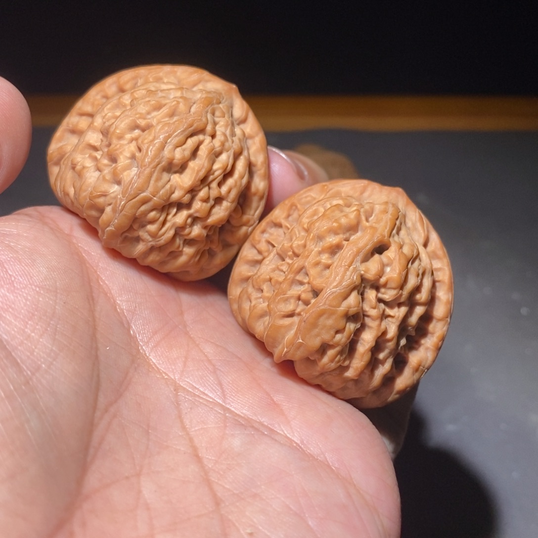 紫檀柳40九龙全品