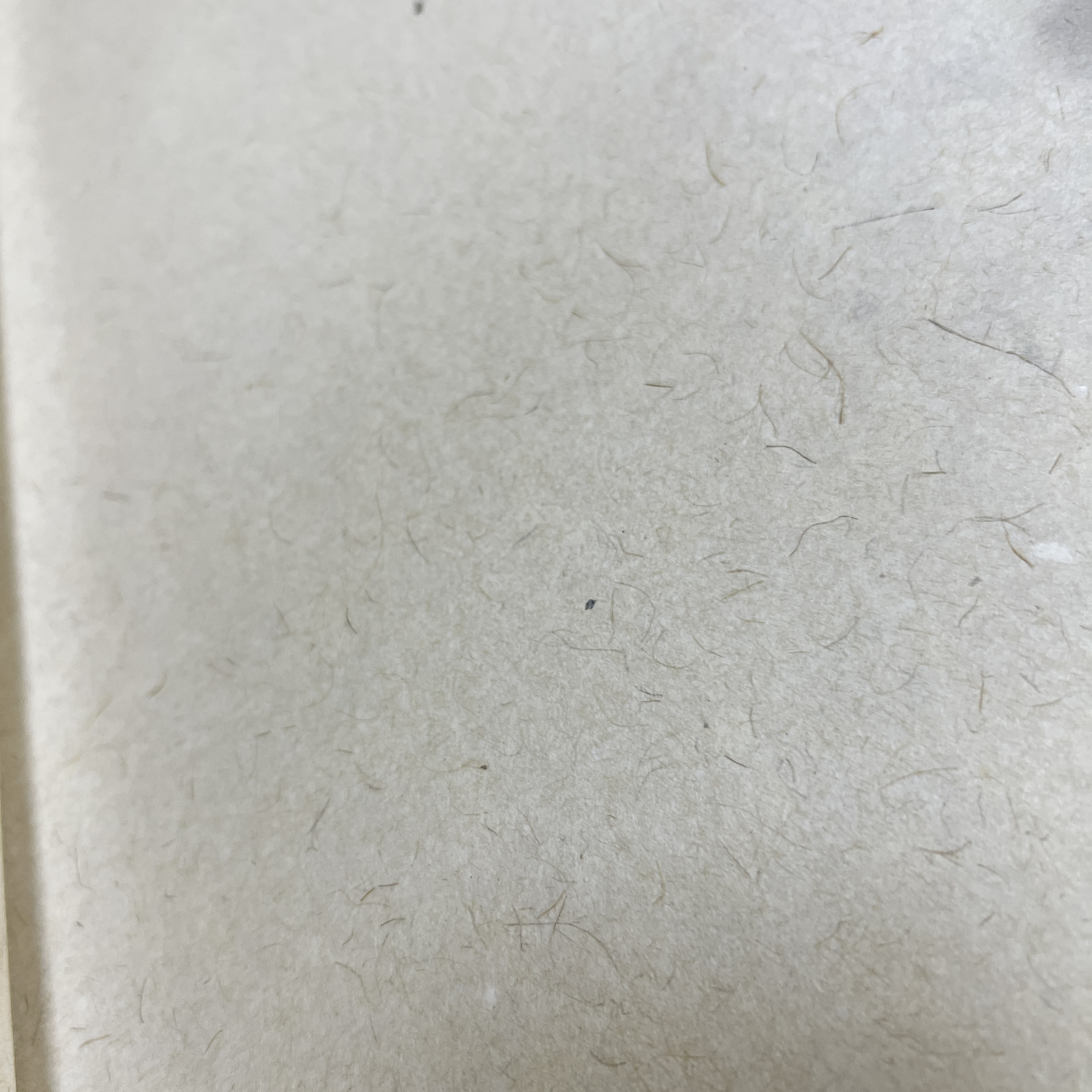 纯手工四尺四开半生熟豆腐宣2张