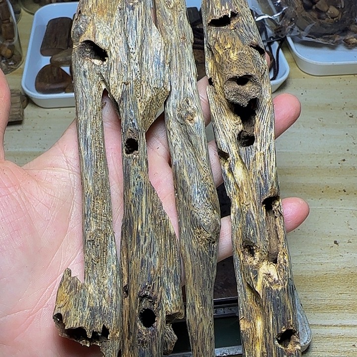 节***师木绿奇树心虫漏料80克