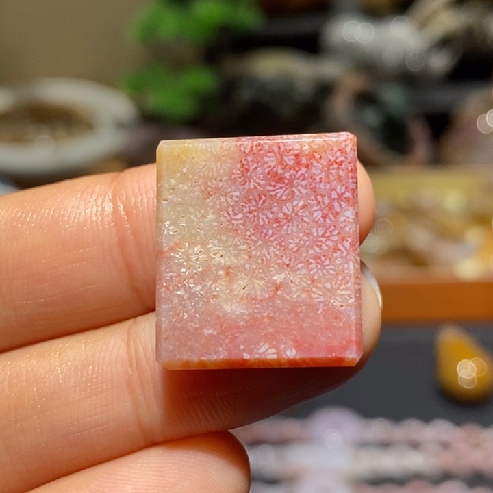 【闪购商品】未镶嵌珊瑚玉硅化玉