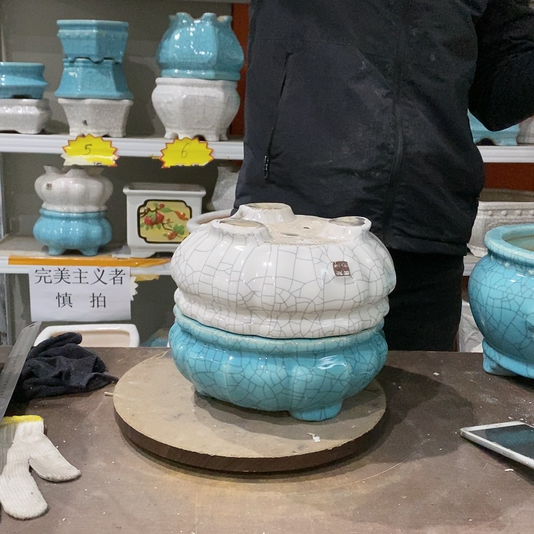 花盆花盆里放满鲜花