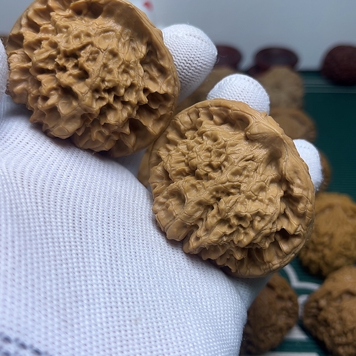 顺***852尺眼镜蛇大官帽