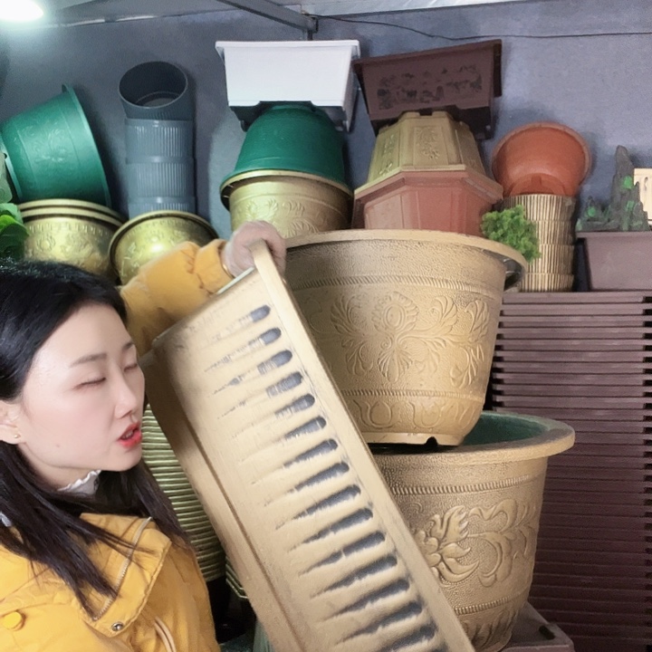 条子盆90花盆12个有孔