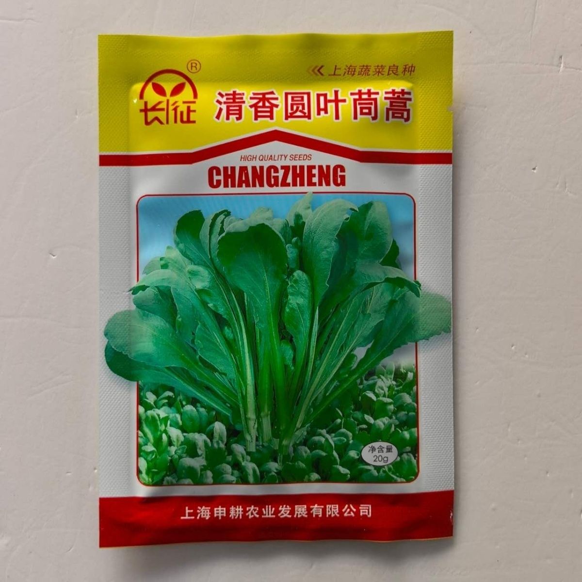 长征茼蒿清香圆叶种子叶面光滑深绿色叶片肥厚