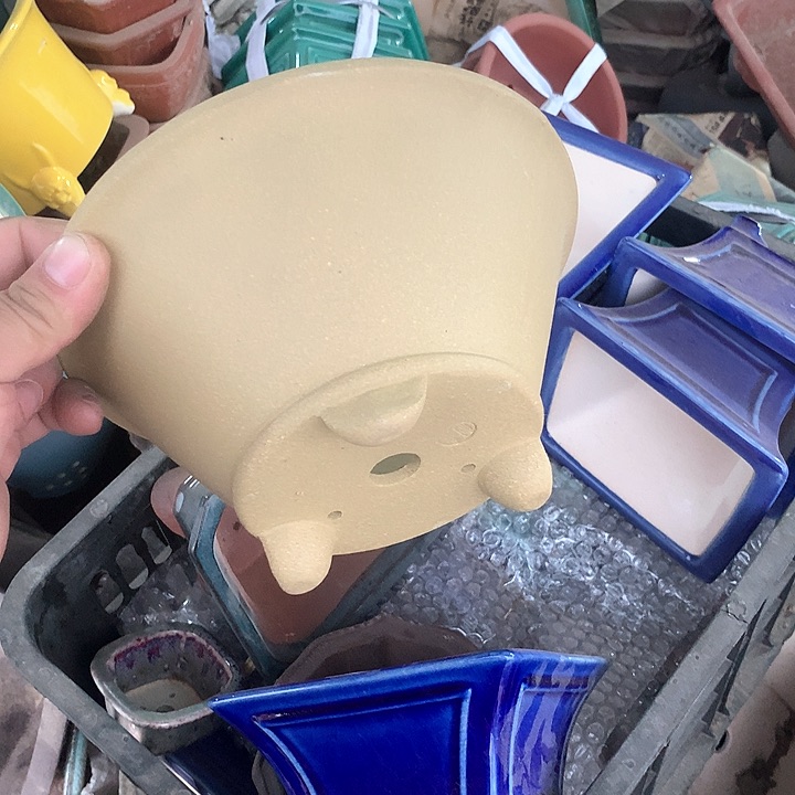 紫砂淘宝优惠券起单号给我