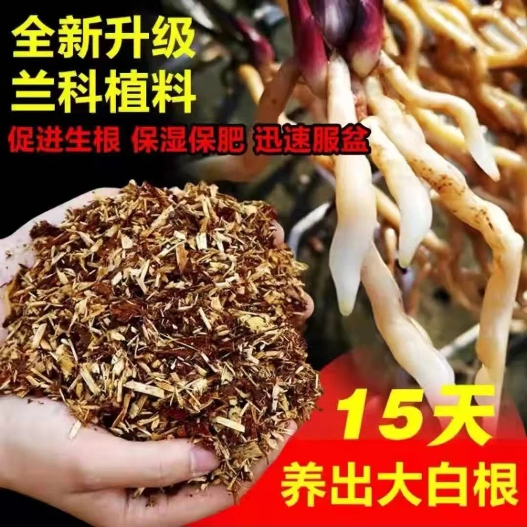 纯杉树木屑兰花专用植料