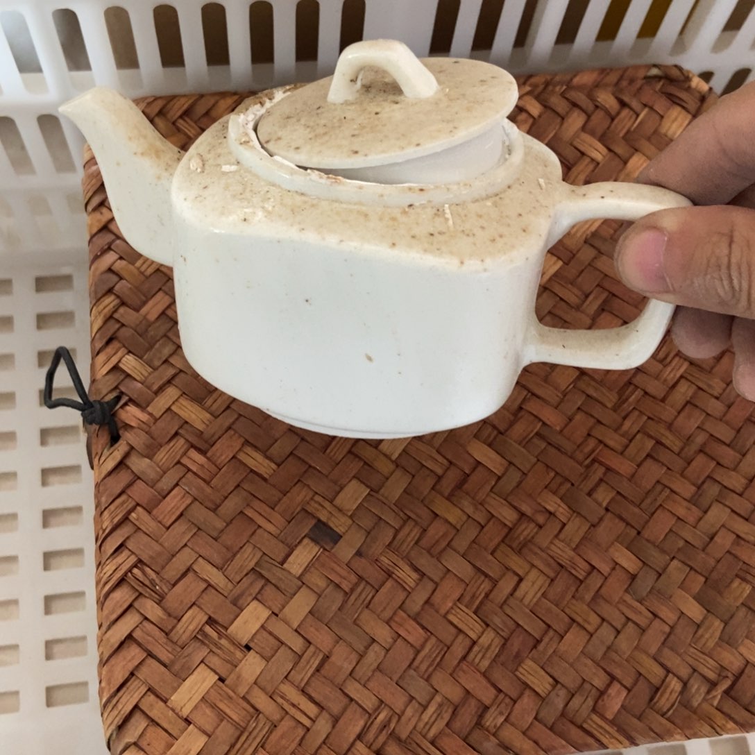 杯直播链接直播链接