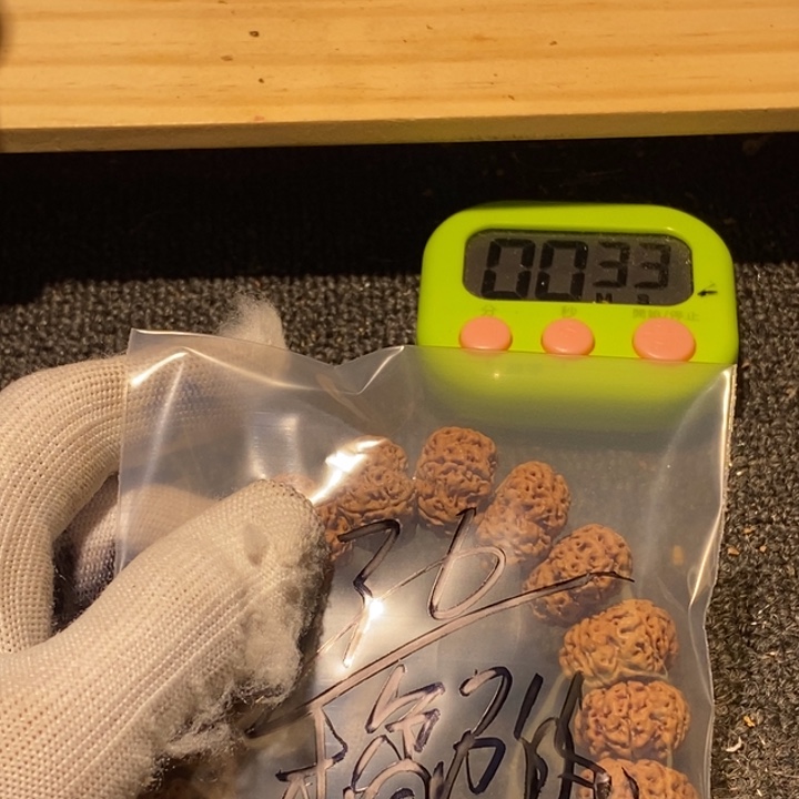 橘***光金刚菩提吊坠您可以把他当成孩子看待自己