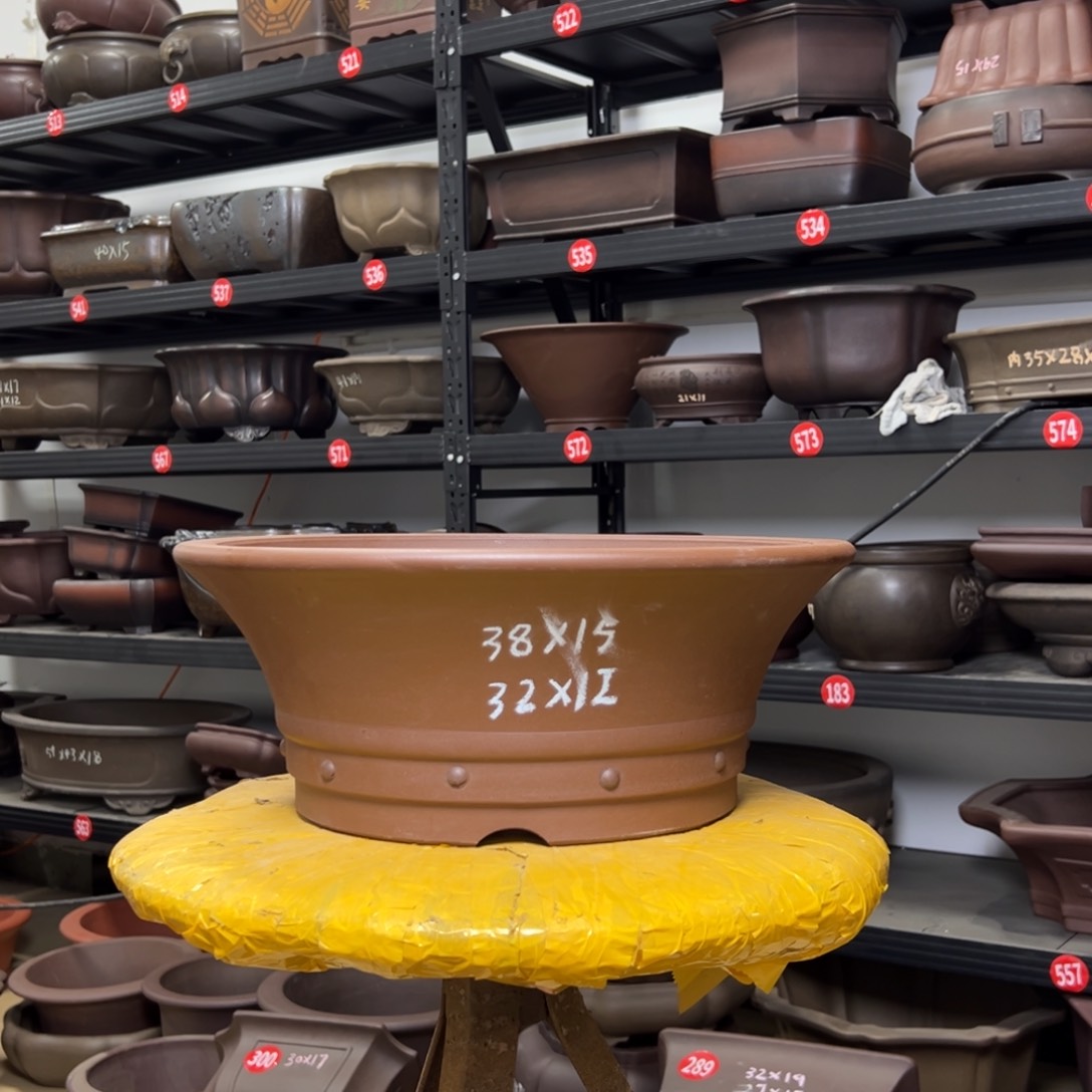 紫砂花盆呜呜呜呜呜我