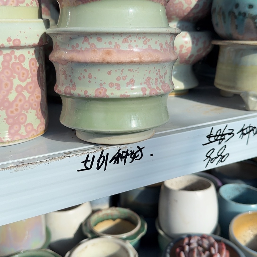长****两个梅点点花盆多肉