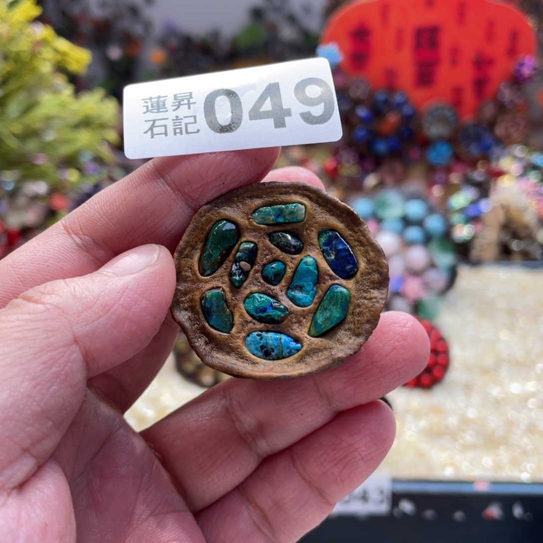 核桃木/黑胡桃（胡桃木）049