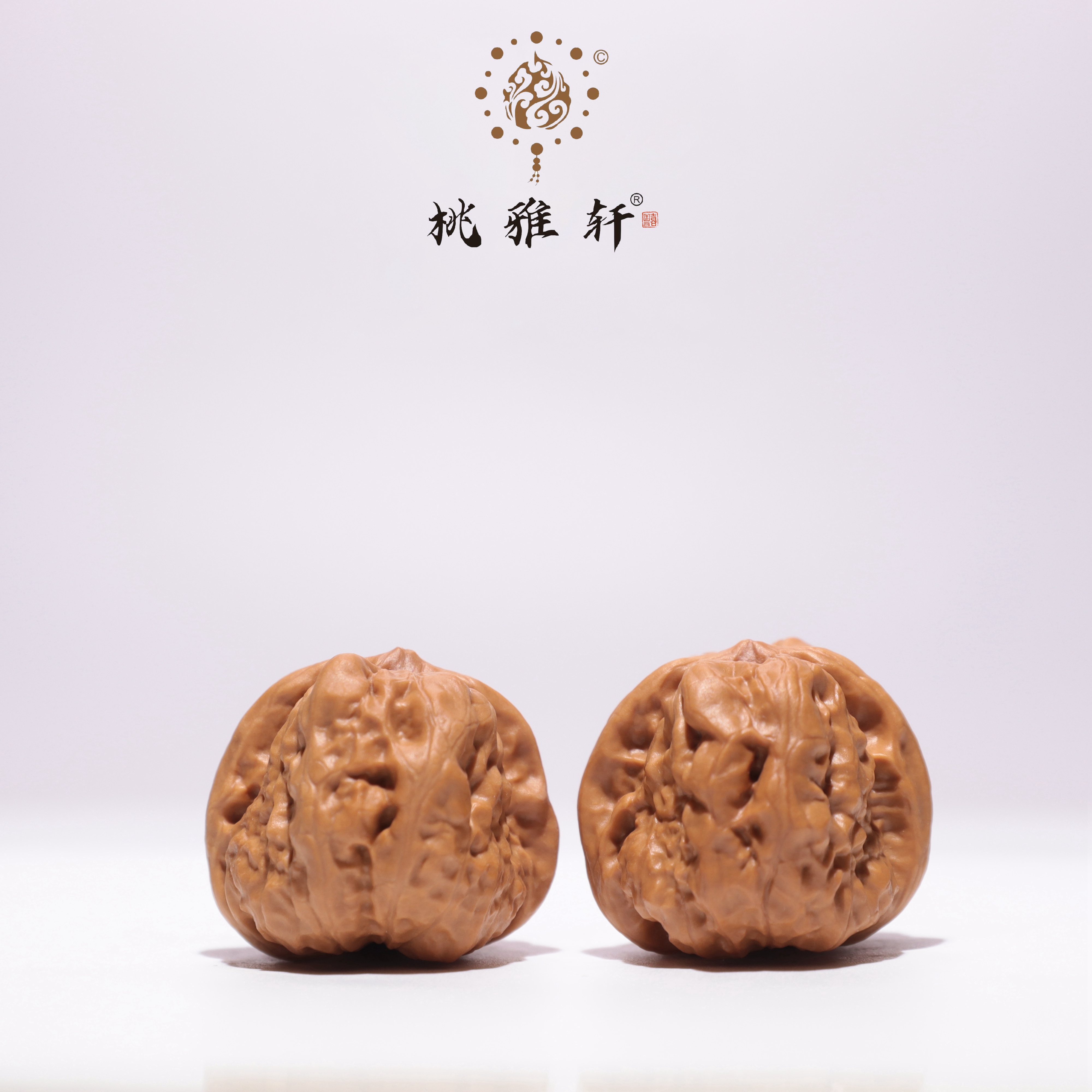 蛤蟆头 · 31-34-27 一物一图
