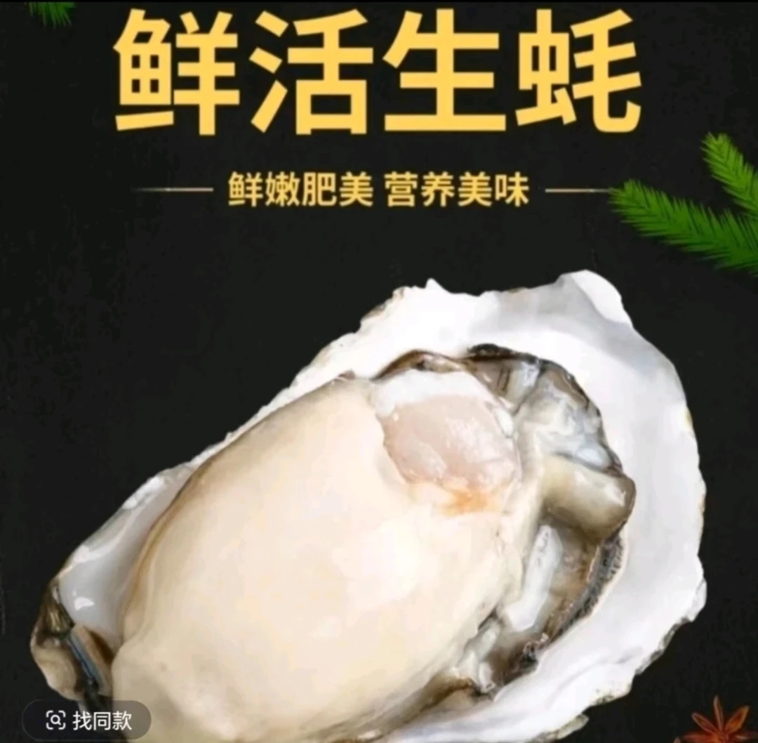 拍小号3+生蚝发中号4+新鲜肥美拍10个送10个4公斤