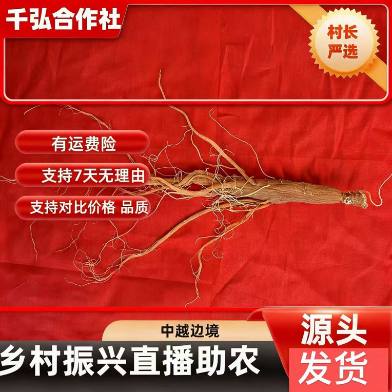 A6【村长严选】源自农家【龙须红参】