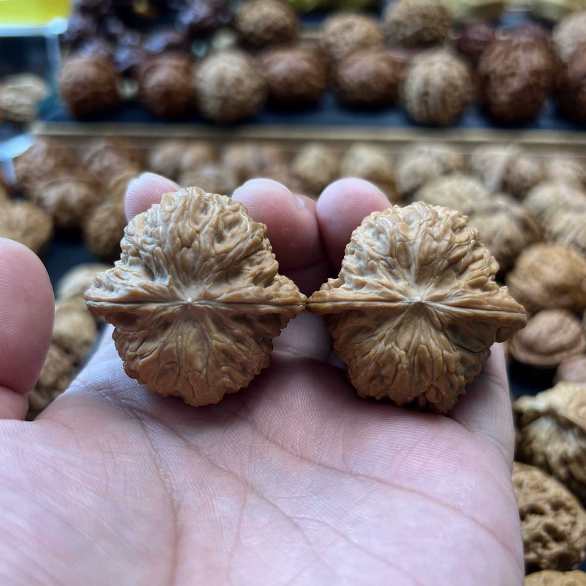 老款，闷尖正磨狮子头，尺寸41，全品无修，喜欢的私聊，特价388包邮