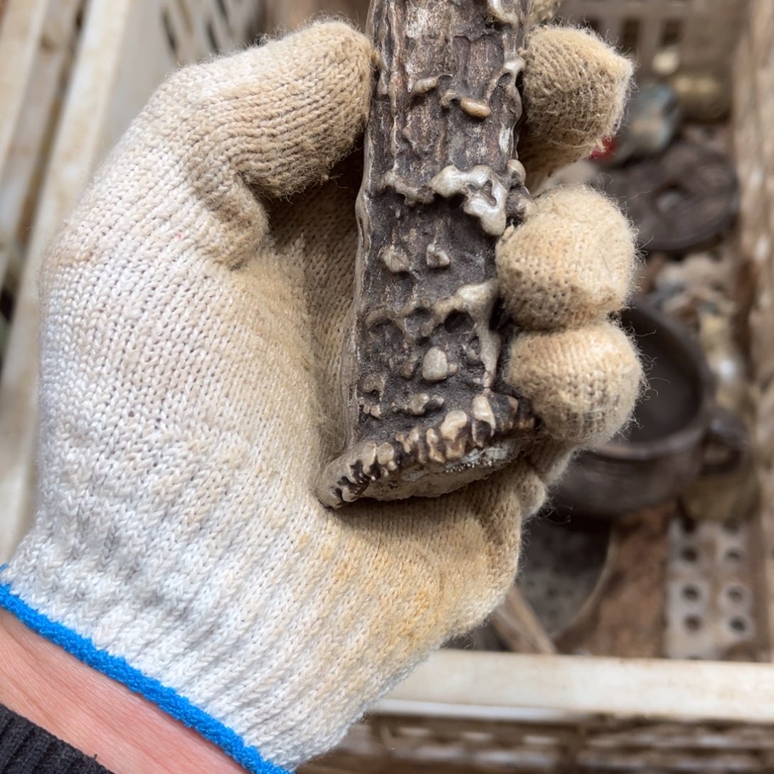 火***累一物一图，工艺品。