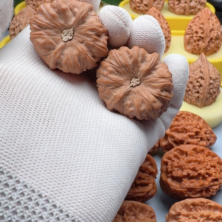 核桃福利门头沟元宝