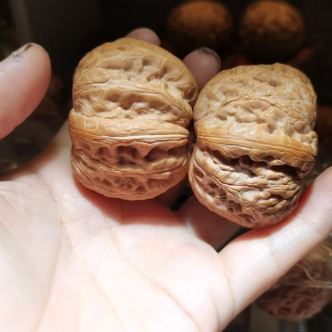 猴头核桃吊坠48元宝