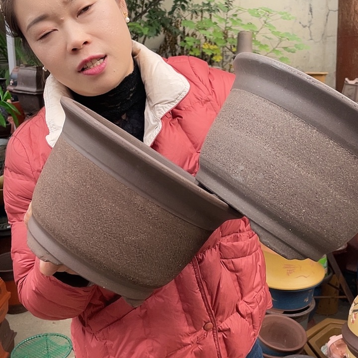 25+25拉毛小马花盆紫砂花盆