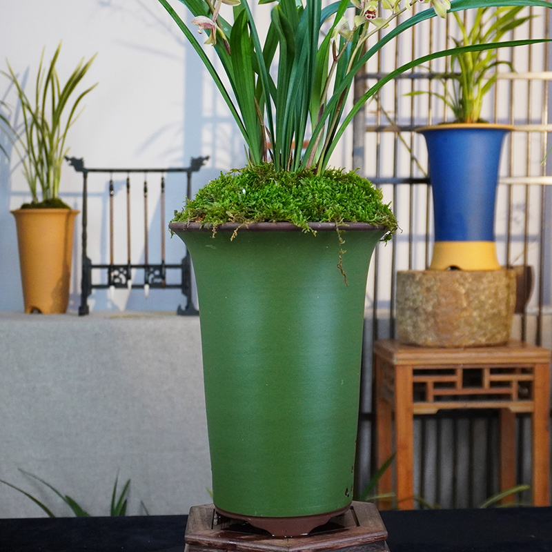 建兰铭品【荷王】高级定制紫砂盆室内外好养易活